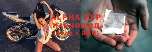 дурь Бородино