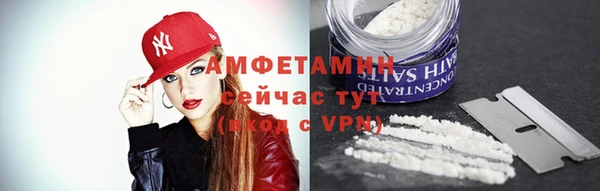 крисы Бронницы