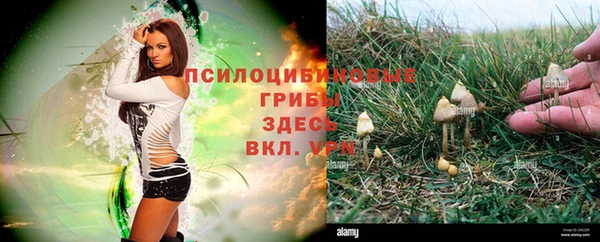 дмт Баксан