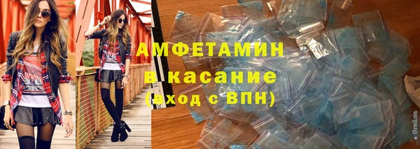 крисы Бронницы