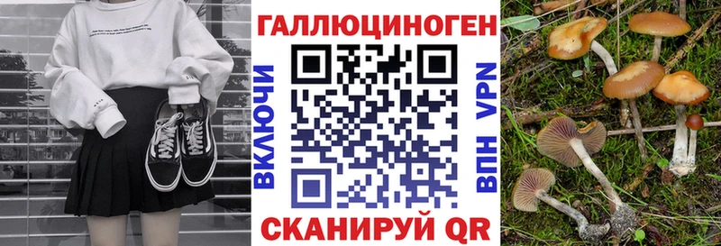 где продают наркотики Северо-Курильск Галлюциногенные грибы Psilocybe